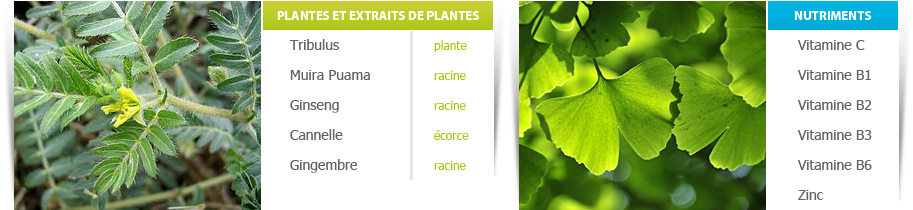 Formule de maleperf
